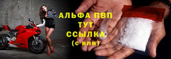 гашик Осинники