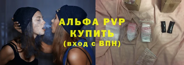 гашик Осинники