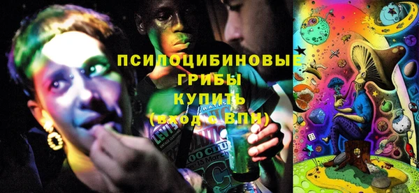 эйфоретик Осташков