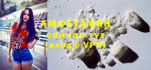 гашик Осинники