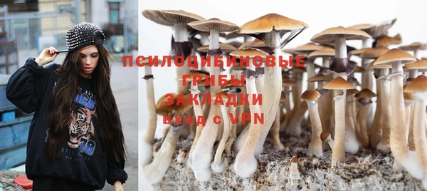 эйфоретик Осташков