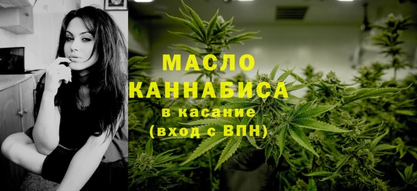 гашик Осинники