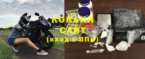 гашик Осинники