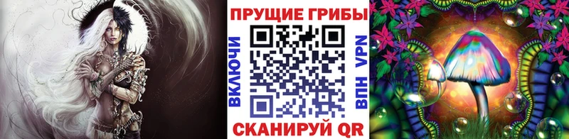 Псилоцибиновые грибы мухоморы  Щучье 
